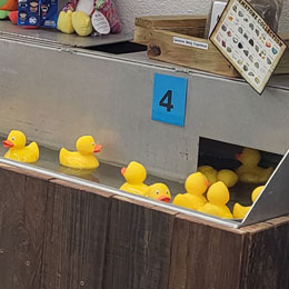 Carnival Game - Catch-a-Duckie - Meteor City - Dino Drive-Thru - Near Meteor Crater - Route 66 - Winslow Arizona
