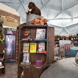 Meteor City Gift Shop - Unique Treasures - Family Activities - Historic Route 66 Tourist Stop - Selfie Spot - Giant Mowhawk Dome - Winslow Arizona - Dino Drive-Thru - Tshirts - cold drinks - snacks - souvieners