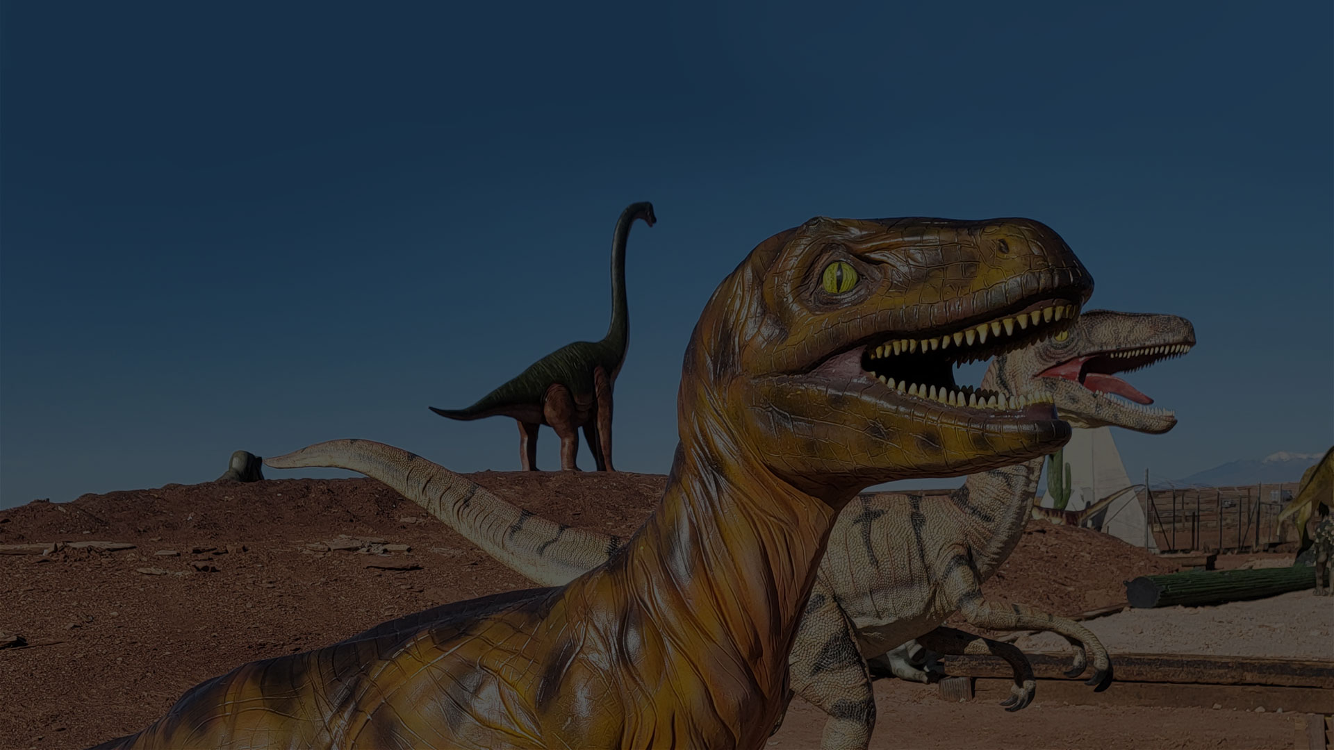Meteor City - Route 66 - Dino Drive-Thru - Tourist Attraction - Paint A Bug - Dinasaur Park - Hurricane Simulator - Shooting Gallery - Gift Shop - Trading Post - Winslow, Arizona Tourist Attraction