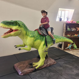 Ride-A-Dino - Dino Drive-Thru - Meteor City - Winslow Arizona - Tourist Stop - Gift Shop - Near Meteor Crater - Beringer Crater - Things to do - Arizona - Route 66 - Iconic Roadside Attraction - Giant Mowhawk Dome